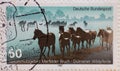 A postage stamp from Germany, showing some wild horses from DÃÂ¼lmen in the Merfelder Bruch. Nature and envi