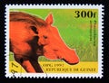 Postage stamp Guinea, 1997. Common Warthog Phacochoerus africanus