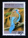 Postage stamp Guinea, 1996. Red cheeked Cordon bleu Uraeginthus bengalus bird