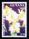 Postage stamp Guyana, 1991. Odontoglossum crispum orchid flower