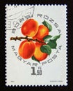 Postage stamp Hungary, 1964. Borsi RÃÂ³zsa Apricot fruit