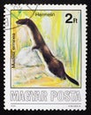 Postage stamp Hungary