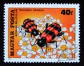 Postage stamp Hungary, 1980. European Beewolf Trichodes apiarius, Common Yarrow Achillea millefolium