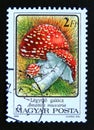 Postage stamp Hungary, Magyar, 1986. Amanita muscaria mushroom