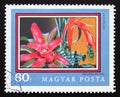 Postage stamp Hungary, Magyar, 1971. Bromeliad Bromeliaceae flower Royalty Free Stock Photo