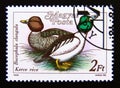 Postage stamp Hungary, Magyar, 1988. Common Goldeneye Bucephala clangula duck bird Royalty Free Stock Photo