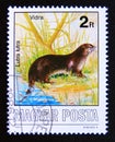 Postage stamp Hungary, Magyar, 1986. Eurasian Otter Lutra lutra