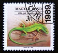 Postage stamp Hungary, Magyar, 1989. Green Lizard Lacerta viridis