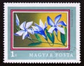 Postage stamp Hungary, Magyar, 1971. Herbaceous Periwinkle Vinca herbacea flower Royalty Free Stock Photo