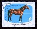 Postage stamp Hungary, Magyar, 1985. Horse Furioso 23, 1889 Equus ferus caballus