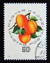 Postage stamp Hungary, 1964. Magyar Kajszi Apricot fruit