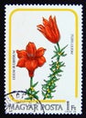 Postage stamp Hungary, Magyar, 1985. Rye lily or orange lily Lilium bulbiferum flower