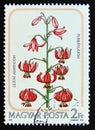 Postage stamp Hungary, Magyar, 1985. Lilium martagon flower