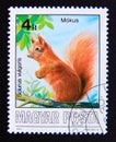 Postage stamp Hungary, Magyar, 1986. Red Squirrel Sciurus vulgaris