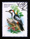 Postage stamp Hungary, Magyar, 1990. Syrian Woodpecker Dendrocopos syriacus bird