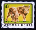 Postage stamp Hungary, Magyar, 1976. Wild Boar Sus scrofa animal