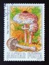 Postage stamp Hungary, 1984. Parasol Macrolepiota procera mushroom Royalty Free Stock Photo