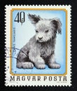 Postage stamp Hungary 1974. Young puppy Dog Canis lupus familiaris