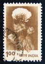 Postage stamp India, 1980. Cotton Gossypium plant flower Royalty Free Stock Photo