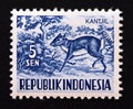 Postage stamp Indonesia 1956. Lesser Malay Chevrotain Kantjil