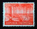 Postage stamp Indonesia 1960. Para Rubber Tree Hevea brasiliensis