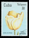 Postage Stamp isolated