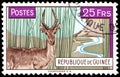 Postage stamp issued in Guinea with the image of the Impala antelope Defassa Waterbuck - one of the symbols of Africa