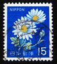 Postage stamp Japan 1966. Ox-eye Daisy Leucanthemum vulgare flower