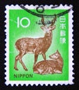 Postage stamp Japan 1972. Sika Deer Cervus nippon