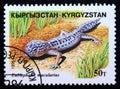 Postage stamp Kyrgyzstan 1996, Leopard Gecko, Eublepharis macularius