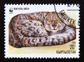 Postage stamp Kyrgyzstan, 1994. Lying curled-up Adult Snow Leopard Panthera uncia
