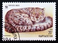 Postage stamp Kyrgyzstan 1994, Lying curled-up Snow Leopard, Panthera uncia