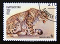 Postage stamp Kyrgyzstan, 1994. Sitting Adult Snow Leopard Panthera uncia