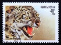 Postage stamp Kyrgyzstan 1994, Snow Leopard, Panthera uncia