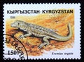 Postage stamp Kyrgyzstan 1996, Steppe-Runner, Eremias arguta