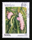 Postage stamp Laos, 1996. Aerides multiflorum orchid flower Royalty Free Stock Photo