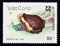 Postage stamp Laos, 1993. Banded Bullfrog Kaloula pulchra