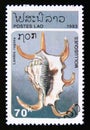 Postage stamp Laos, 1993. Chiragra Spider Conch Lambis rugosa