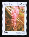 Postage stamp Laos, 1996. Dendrobium secundum orchid flower Royalty Free Stock Photo