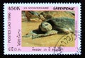 Postage stamp Laos, 1996. Galapagos Green Turtle Chelonia agassizi