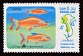 Postage stamp Laos, 1983. Giant Carp Catlocarpio siamensis fish