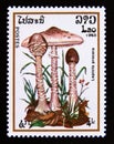 Postage stamp Laos, 1985. Lepiota Procera autumn mushroom Royalty Free Stock Photo