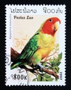 Postage stamp Laos 1997. Rosy faced Lovebird Agapornis roseicollis