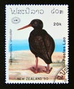Postage stamp Laos, 1990. Variable Oystercatcher Haematopus ostralegus unicolor bird