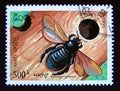 Postage stamp Laos, 1995. Violet Carpenter Bee Xylocopa violacea insect Royalty Free Stock Photo