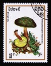 Postage stamp Laos, 1985. Xerocomus Subtomentosus autumn mushroom