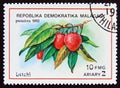 Postage stamp Madagascar 1992. Lychees fruit
