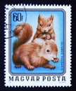 Postage stamp Magyar, Hungary, 1976, Red Squirrel, Sciurus vulgaris