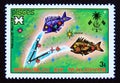 Postage stamp Maldives, 1974. Pisces constellation