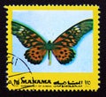 Postage stamp Manama, 1972. African Giant Swallowtail Drurya antimachus butterfly